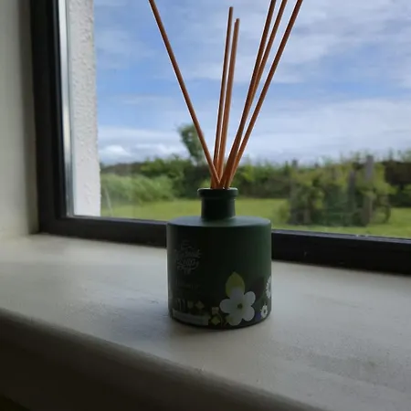 Teachin An Tsruthain