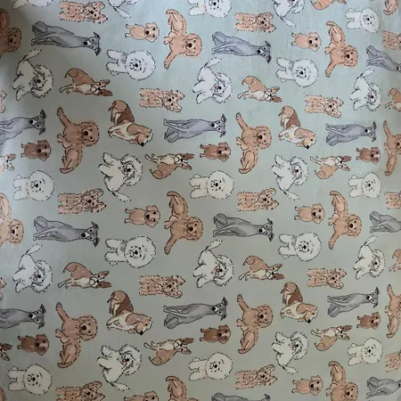 Teachin An Tsruthain 戈尔韦