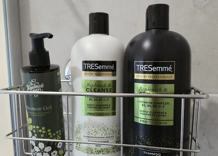 Teachin An Tsruthain Appartement Galway