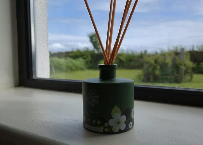 Teachin An Tsruthain