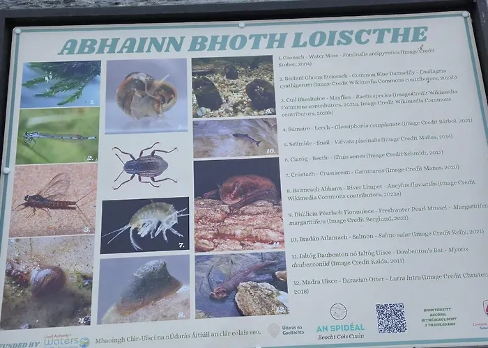 Apartament Teachin An Tsruthain *