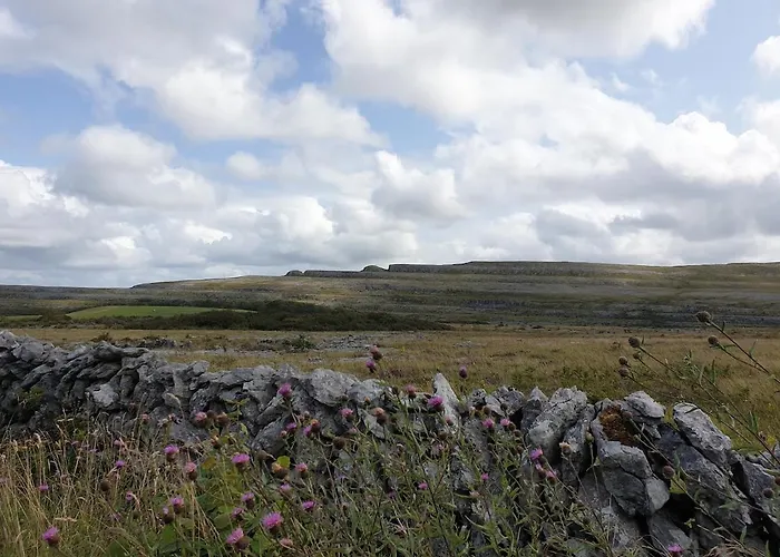 Teachin An Tsruthain Appartement Galway