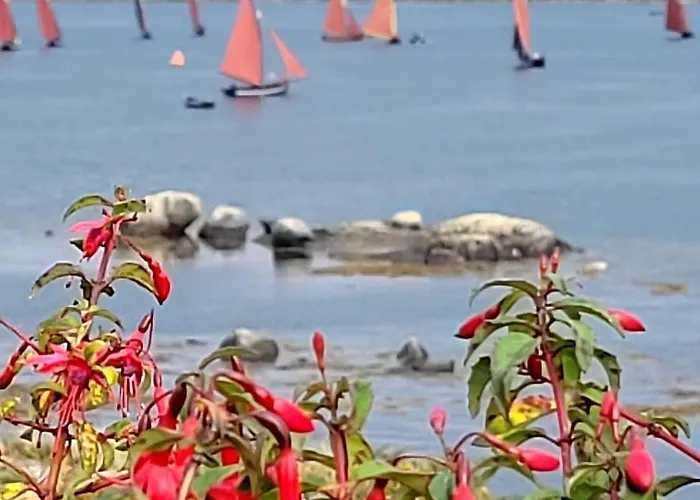 Teachin An Tsruthain *