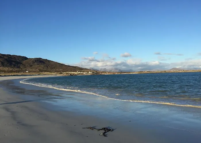 Teachin An Tsruthain Galway